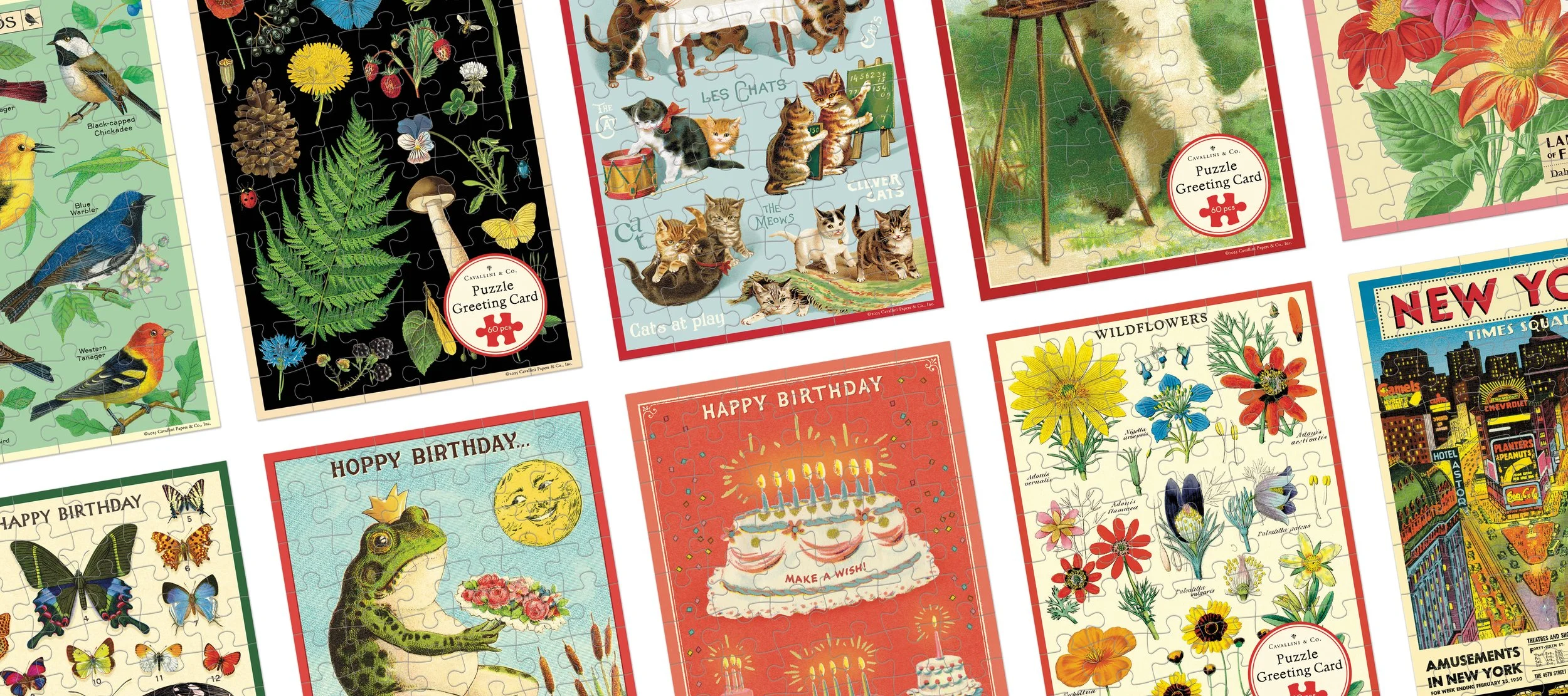 Cavallini Papers & Co